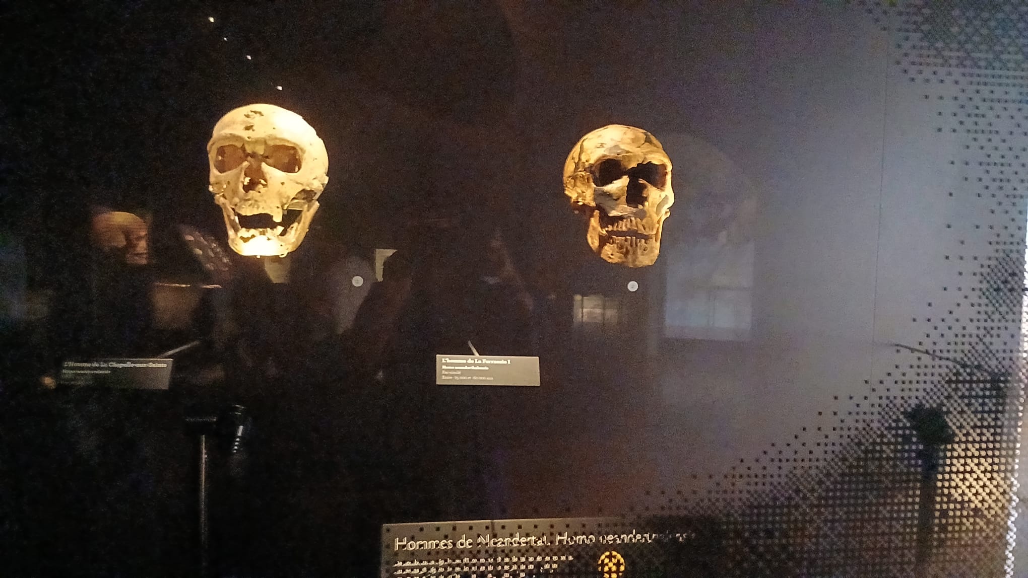 Au Musée de l’Homme, sur les traces d’Almamy Bokar Biro Barry : une rencontre avec l’absence