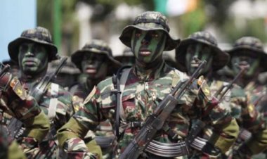 Défense: Classement des puissances militaires africaines en 2018, selon Global Fire Power