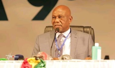 Damaro coupe court : « Alpha Condé sera candidat ! «