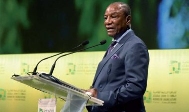 Arrêtez les faux discours. Il est temps d’agir pour sauver dame nature. ( Par Ibrahim kalil DIALLO )