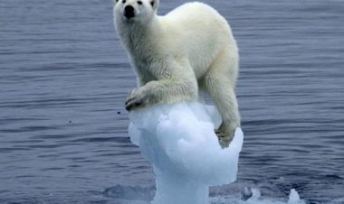 Climat: Le changement climatique n’épargne plus rien