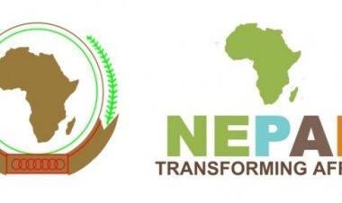 La Première plateforme de partenariat pour l’environnement Africain.