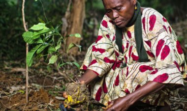AFRIQUE : le Forum mondial sur les paysages au Kenya