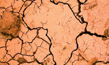 Le Sommet du changement climatique – Afrique