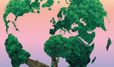 Environnement: L’humanité célèbre la journée mondiale de la biodiversité…