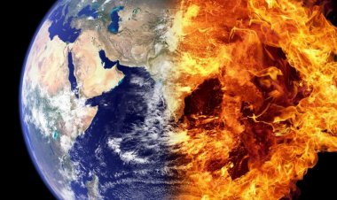 Environnement: L’année 2017 bat des records sur le réchauffement climatique…