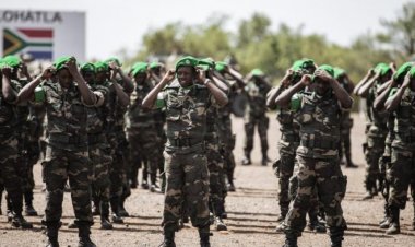 Défense: Classement des armées les plus puissantes d’Afrique en 2018