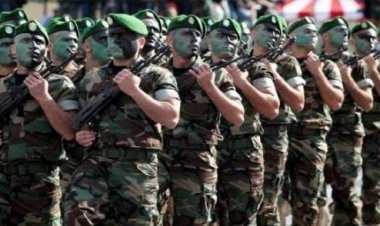Défense: L’Algérie dans le top 5 des importateurs d’armes dans le monde…