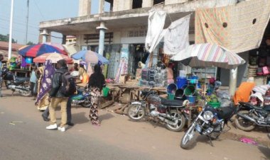 Kindia : Un officier accusé dans une affaire de détention illégale d’espèces animales !