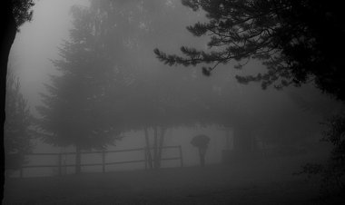 Pilimini(Labé) : Une pluie torrentielle fait des dégâts importants !