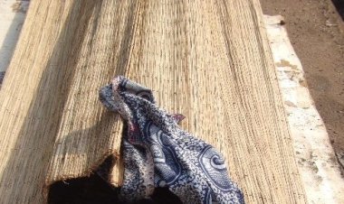 Kindia : Un corps sans vie retrouvé sur le mont Gangan.