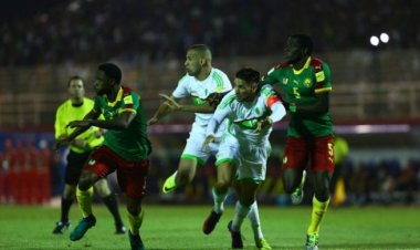 CAN Gabon 2017 : Les fennecs d’Algérie sont tombés à l’image des panthères !