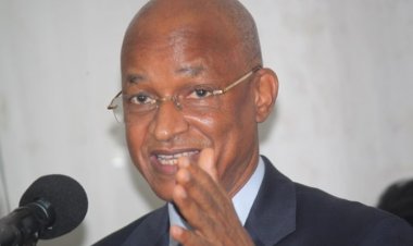 Guinée : au crépuscule de la démocratie ? (Interview de Cellou Dalein avec la Fondation Friedrich Naumann)