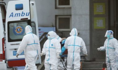 Covid19 : Un guinéen de l’Europe plaide pour la réflexion !