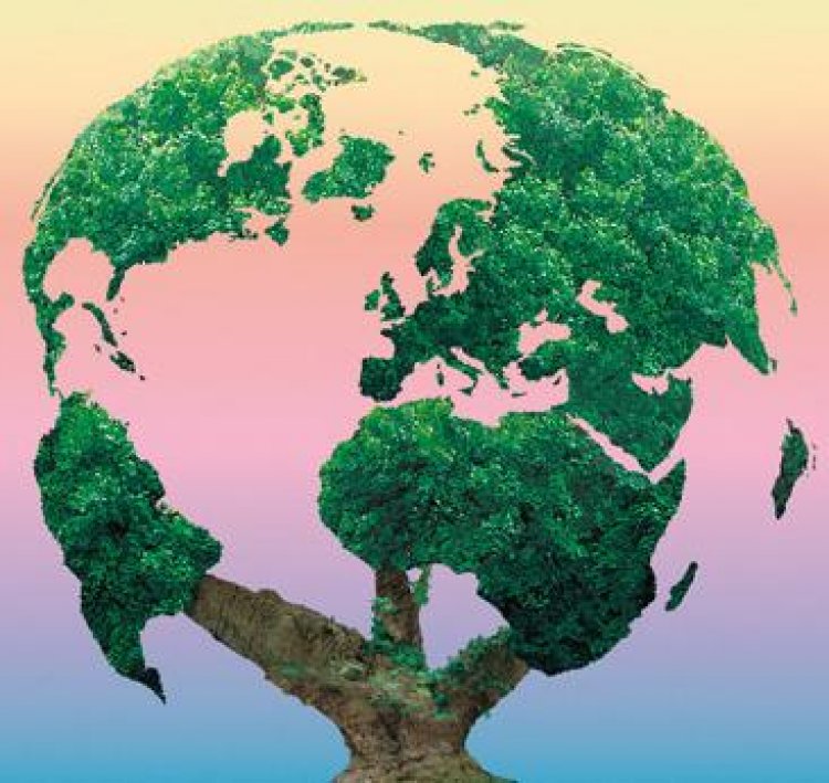 Environnement: L’humanité célèbre la journée mondiale de la biodiversité…