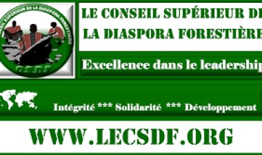 Le Conseil Supérieur de la Diaspora Forestière interpelle le Président de la transition