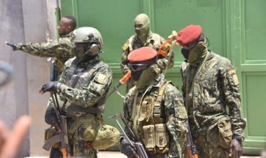Des militaires lourdement armés ont débarqué à Coléah