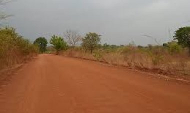 Infrastructures : Début des Travaux de Construction de la Route Labé-Mali-Kédougou
