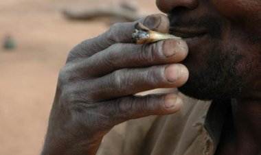 Consommation de drogue au temple d’ENTAG (Conakry) : ce que risquent Mohamed Kakoro et deux autres