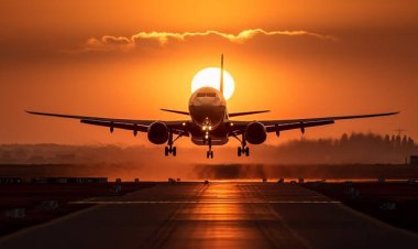 Conakry : L'angoisse des vendeurs de bétail à Aviation Militaire