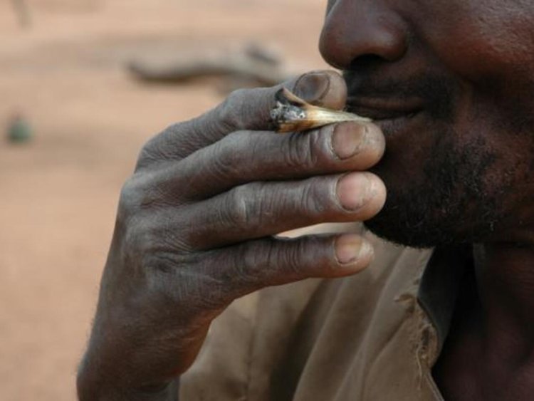 Consommation de drogue au temple d’ENTAG (Conakry) : ce que risquent Mohamed Kakoro et deux autres