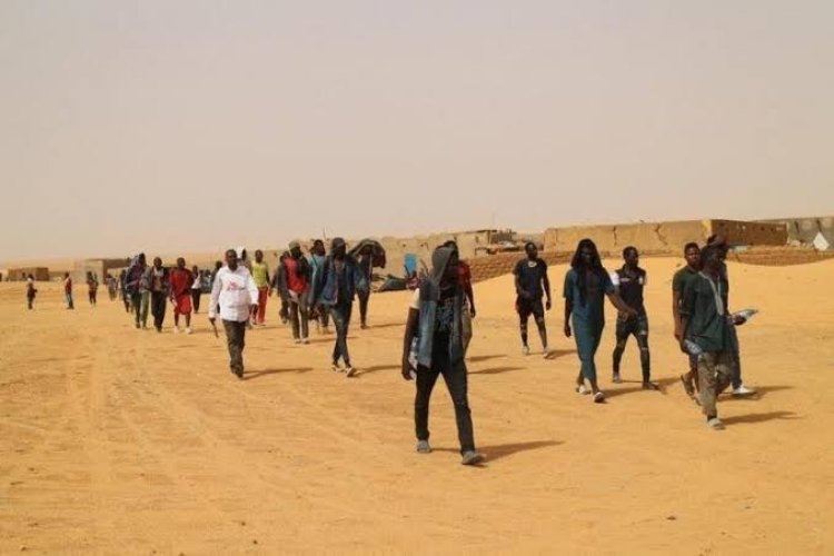 Expulsions de Migrants vers le Niger : L'Algérie Pousse Plus de 2 000 Personnes (dont au Moins 204 Guinéens) vers Assamaka en Moins de 2 Semaines