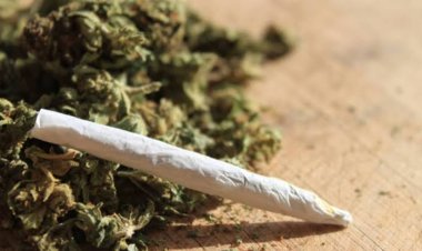 Conakry : dix jeunes condamnés pour possession, vente et consommation de drogue