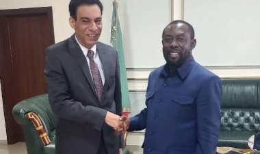 L'Égypte et la Guinée équatoriale s'engagent à renforcer leur coopération à l'ONU