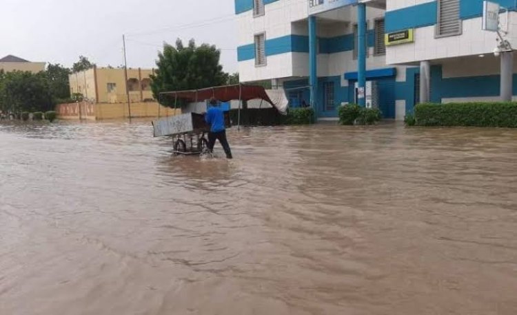 Inondations au Tchad : 341 morts et 1,5 million de sans-abri