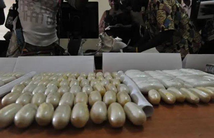 Conakry : Plusieurs jeunes jugés pour possession, vente et consommation de drogue