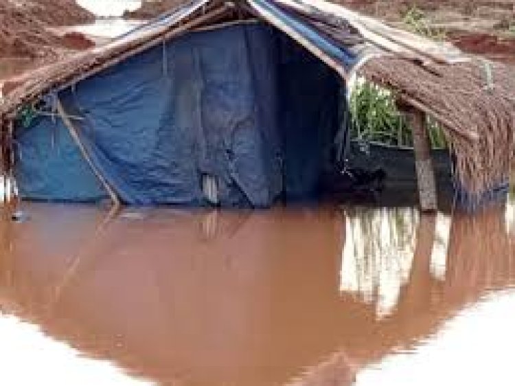 Gaoual : le président de la chambre d’agriculture déplore de lourdes pertes à cause des inondations