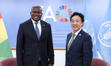 Réunion de haut niveau avec le Ministre de la Planification et de la Coopération Internationale de la République de Guinée sur la coopération en TIC et cybersécurité