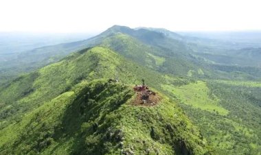 Arrow Minerals et Baosteel signent un protocole d'accord pour le développement du minerai de fer en Guinée