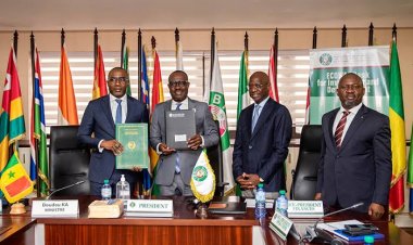 Projet d’adduction d’eau en Haute et Guinée Forestière : adoption d’un accord de prêt entre la Guinée et la Banque de la CEDEAO