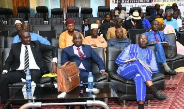 Constitution, Élections et Gouvernement de Consensus : Les Propositions de Dr Faya Millimono