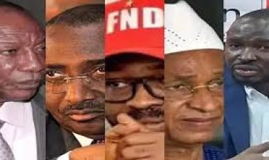 France : Nouvelle Manifestation des Forces Vives de Guinée Annoncée à Paris