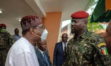 Faya Millimouno : « Dadis et Doumbouya, aucune différence »