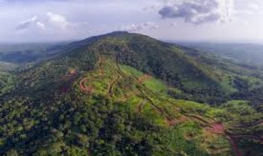 Guinée : la production maximale du projet Simandou attendue dès la deuxième année