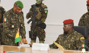 L'Armée Guinéenne Dément Toute Division et Met en Garde