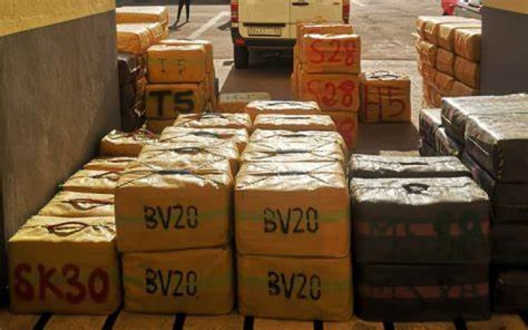 Coup de filet à Dixinn : 26 personnes arrêtées pour trafic de drogue