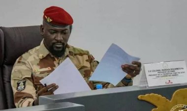 Mamadou Sylla salue la promulgation de la nouvelle Constitution