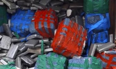 Saisie record de cocaïne au Sénégal : 115 kg dissimulés dans un véhicule venu de Guinée