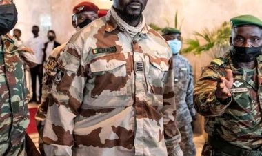 Clash explosif en ligne : deux influenceuses guinéennes exposent leur conflit au grand jour