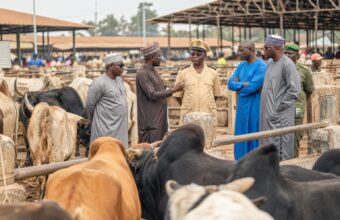Abattoir ou marché à bétail faisant l’objet d’une réflexion sur l’hygiène et la gestion des déchets