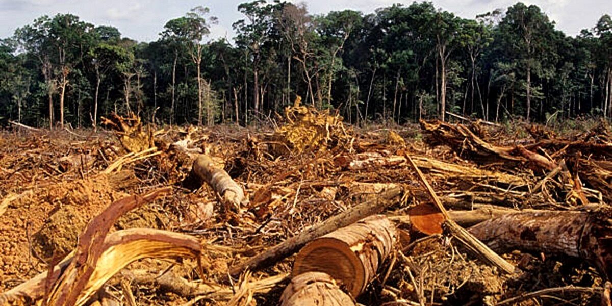 Paysage forestier d’Afrique de l’Ouest soumis à la pression des activités humaines