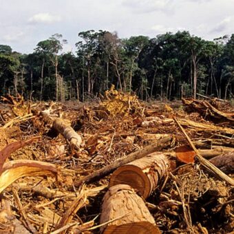 Paysage forestier d’Afrique de l’Ouest soumis à la pression des activités humaines