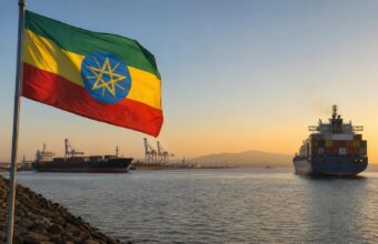 Le Premier ministre éthiopien Abiy Ahmed lors d’une intervention au Parlement
