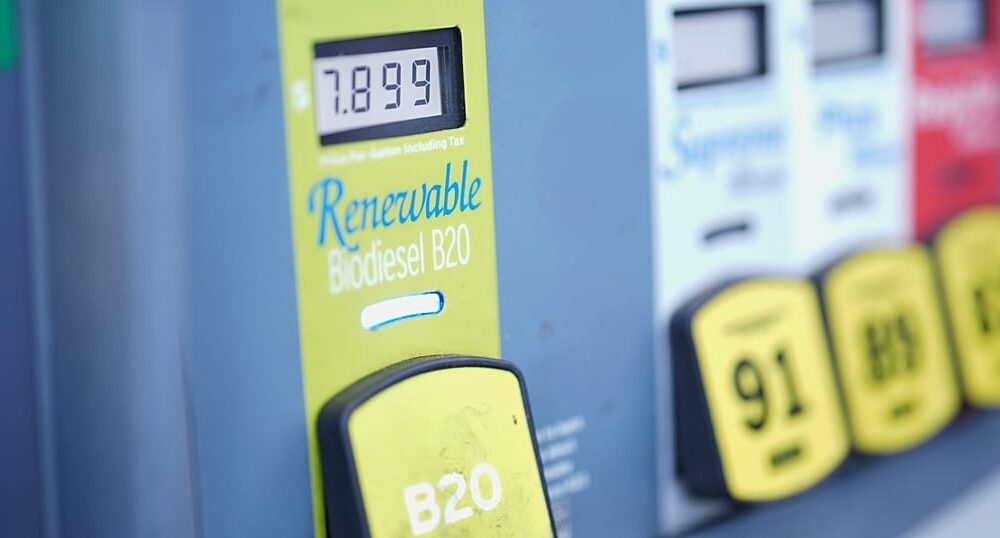Installations et infrastructures liées au stockage et à l’approvisionnement en pétrole