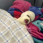 Hôpital régional de Labé où a été évacué l’adolescent blessé