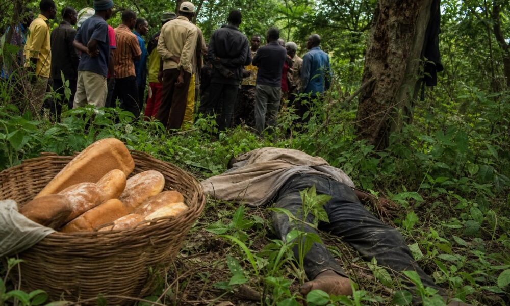 Zone de brousse à Gobia où le corps d’un boulanger a été retrouvé